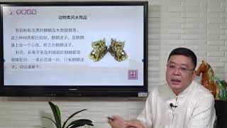 第四十二講：風水物品（二）