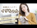 保護犬トイプー、イヴちゃん🐩💞｜病気について。