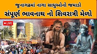 Junagadh Shivratri 2025 || જુનાગઢ નો સંપૂર્ણ શિવરાત્રી મેળો દર્શન || #gujarattv #junagadh