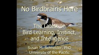 April Program: No Birdbrains Here: The Latest on Bird Learning, Instinct, and Intelligence