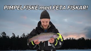 PIMPELFISKE med FETA FISKAR! (öring och Regnbågar)