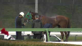 残念　トーセンスーリヤ　予後不良