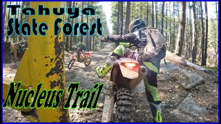 Tahuya Nucleus Trail