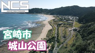 空撮　宮崎市　城山公園　水平線を見下ろす緑の丘