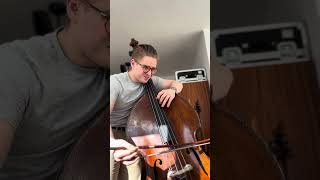 Jazz Bassist vs Bach: 15 Minutes of Daily Reality Checks #000008