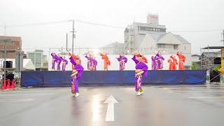 [4K] 羅り瑠れ櫓連　かんおんじ銭形まつり 2019　銭形よさこい (銭よさ)