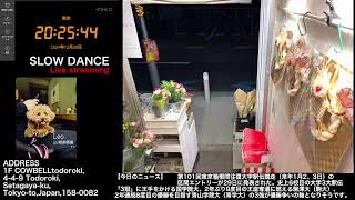 【Mon,12/30/2024 Livecamera at the florist】 スローダンス SLOWDANCE 等々力 尾山台 世田谷 Setagaya 東京 Tokyo 日本 Japan