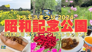 【1人街歩き】体の異変？昭和記念公園（コスモスまつり）散歩＆IKEAランチで食べまくり！50代、体の衰えと更年期なのか？気持ちの問題なのか？【東京】