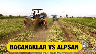 FISTIK ÇEVİRMEDE HANGİ MAKİNA İYİ? BACANAKLAR vs ALPSAN