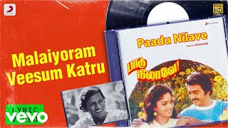 Paadu Nilave - Malaiyoram Veesum Katru Lyric | Mohan, Nadhiya | Ilaiyaraaja