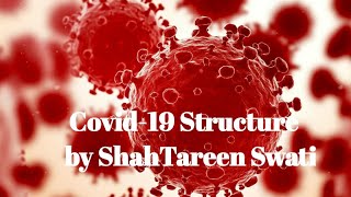 Part#1 Covid-19 Structure. COV2 History . COV2 Taxonomy. Types of Corona Virus