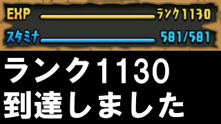 【パズドラ】ランク1130到達しました