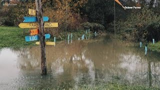 Farmers 'devastated' by flooding