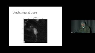 NeuroPSI-Chen Institute Joint Conference 2023 | Israel Nelken