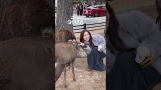 鹿に触れ喜ぶ観光客🫎NARA  PARK