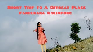 Short Trip To A Offbeat Place | Panbudara Kalimpong | Diwali Vacation