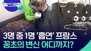 [글로벌K] 3명 중 1명 ‘흡연’ 프랑스…꽁초의 변신 어디까지? [특파원 현장] / KBS  2024.05.13.