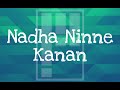 Nadha Ninne Kanan Malayalam Christian Devotional Song |Platinum Heavenly World|