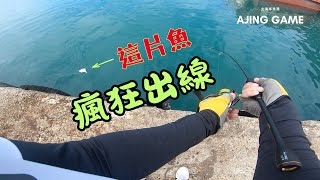 北海岸漁港找阿吉遇到瘋狂出線的魚 ... #AJING #阿吉 #竹莢魚 #馬面瓜 #印度絲鰺