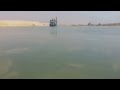 Aaaajl See exclusive video historic event Suez Canal new first appearance of the heavy fish out