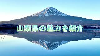 ワイナリー巡り第１弾！山梨県甲州市勝沼にある3つのワイナリーを紹介。①マンズワイン勝沼ワイナリー②ロリアンワイン白百合醸造③勝沼醸造