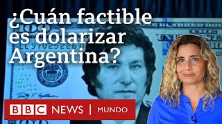 Cuán factible es la dolarización de Argentina que propone Milei y cómo se compara con la de Ecuador