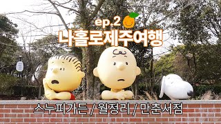 여자혼자 뚜벅이 제주여행 1박2일 2편 스누피가든 정복하기 만춘서점 월정리해수욕장