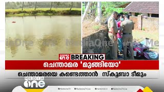 ചെന്താമര പാലക്കാട് ഇല്ല; പ്രതിയെ കണ്ടെത്താൻ സ്കൂബാ ടീമും | Nenmara murder case