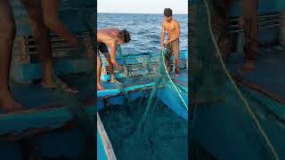 கடல் மீது வலை வீசுவது இப்படித்தான் | This is how a net is thrown over the sea.