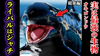 【総集編】シャチより強い！実は海洋界最強だったチートスペック生物たち…サメも一撃で仕留める！？【ゆっくり解説】