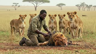 Man Saves Lion From Barbed Wire, Then The Lions Do Shocking Things To Him