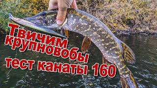 Первый тест Megabass Kanata 160F на воде | Твичим крупновобы | Ловля щуки на воблеры