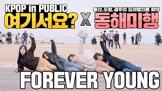 [여기서요 x 동해미행] 포항 '물회명인'을 찾아 'FOREVER YOUNG'