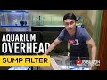 Aquarium Overhead Sump Filter | JB BUIZON