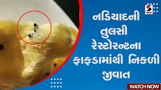 Breaking News | નડિયાદની તુલસી રેસ્ટોરન્ટના ફાફડામાંથી નિકળી જીવાત | Tulsi Restaurant | Nadiad