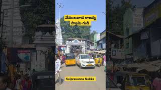 వేములవాడ రాజన్న స్వామి గుడికి వచ్చిన | #vemulawadatemple | #youtubeshorts | #saiprasannanakka