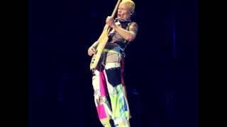 Red Hot Chili Peppers - Amazing Flea Bass Solo - Reading Festival 2016