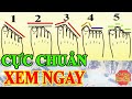 LÔI NGAY BÀN CHÂN RA XEM Biết Ngay Số Phận GIÀU SANG Hay NGHÈO HÈN Không Cần Đi Xem Bói