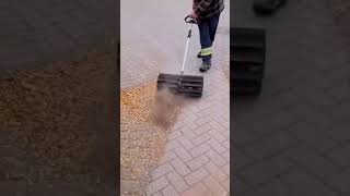 Fallen leaves cleaning tool #shorts #garden #Leaf blower