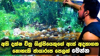 අති දක්ෂ චිත්‍ර ශිල්පියෙකුගේ ඇස් අදහා ගත නොහැකි ඡායාරූප පෙලක් මෙන්න | Alonzo Morales Bravo Paint