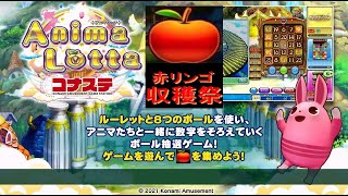 【11月最終日曜日 企画🍎赤リンゴ収穫祭🍎】コナステ アニマロッタ 2021年11月28日(日) 第105回★