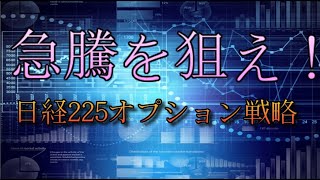 225オプションで利益100倍も？日経平均株価が急騰したらこれをやる。少額資金で利益を出す手法を日経２２５オプション取引で解説！