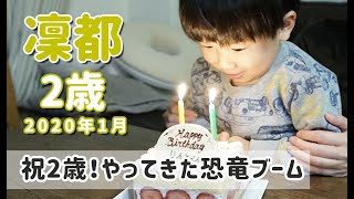 【2歳】祝2歳！そしてやってきた恐竜ブーム 2020年1月