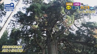 山形道・日東道に乗って行こう（11）　いらがわ