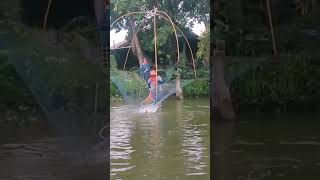 #fishing #ตาดามพายกยอ #ยกยอ #fish #ยกสะดุ้ง #fishingvideo #วิถีถิ่นไทย #หาปลา