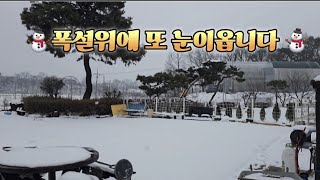 폭설이 그대로 있는데 또 눈이 오네요 하우스 단도리해줍니다 한파까지 봄이오는길이 험난하네요😮‍💨