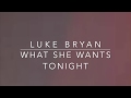 Download Luke Bryan What She Wants Tonight mp3