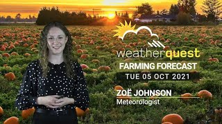 Warming up and settling down... | WQ Farming Forecast 5th October 2021