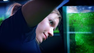 AQUAGIRLS ROCK - TRIMMING PLANTS IN OUR LARGE AQUARIUM WITH SOME HELP
