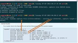 Packet Capture Basics - File Format 1